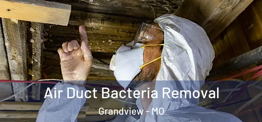 Air Duct Bacteria Removal Grandview - MO