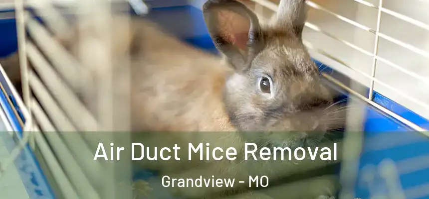  Air Duct Mice Removal Grandview - MO