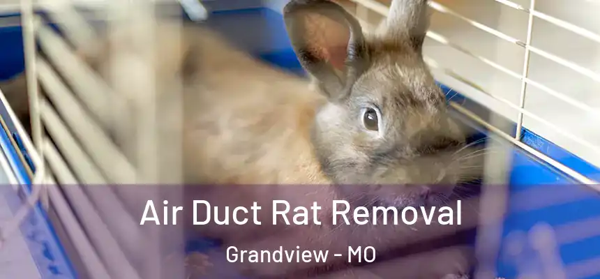  Air Duct Rat Removal Grandview - MO