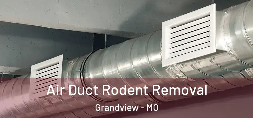  Air Duct Rodent Removal Grandview - MO
