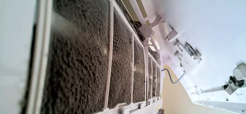 Preventive Air Duct Bacteria Removal in Grandview