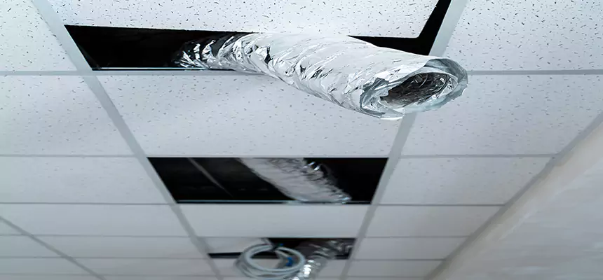 Our Air Duct Pet Hair Removal Services in Grandview, MO