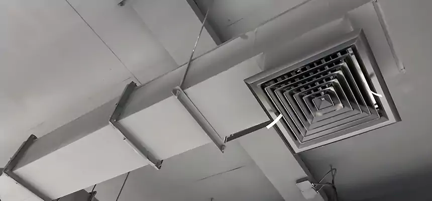 Our Rodent Droppings In Vents Services in Grandview, MO