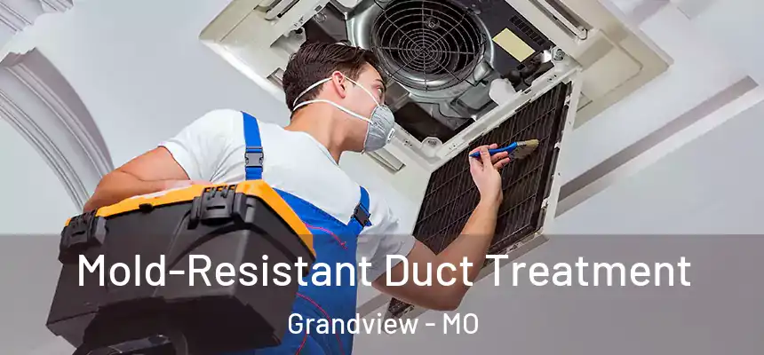  Mold-Resistant Duct Treatment Grandview - MO