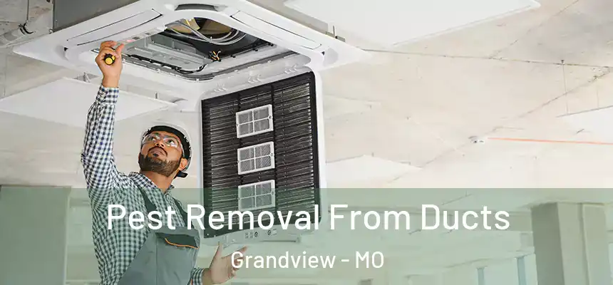  Pest Removal From Ducts Grandview - MO