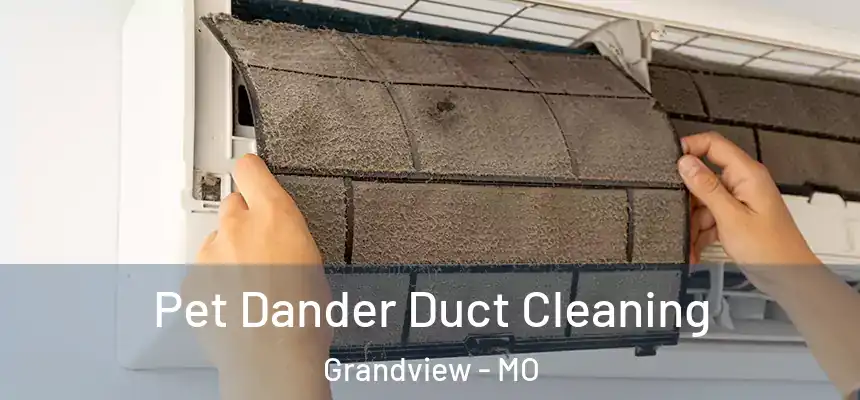 Pet Dander Duct Cleaning Grandview - MO