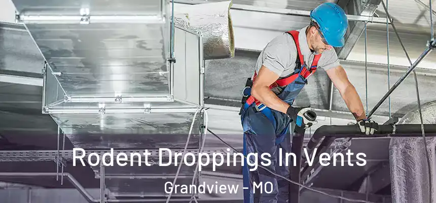  Rodent Droppings In Vents Grandview - MO