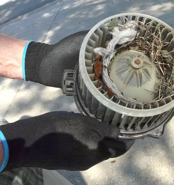 About Air Duct Mice Removal in Grandview, MO