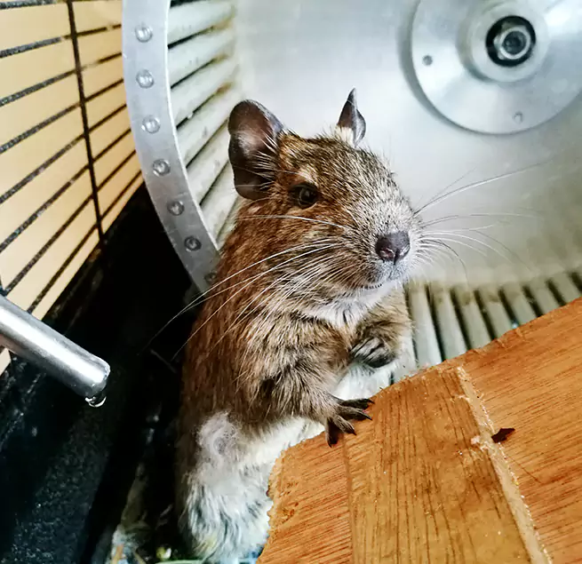 Why Homeowners & Businesses Trust Us Grandview, MO